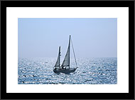 Boats in Abundance