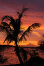 Colourful Sunset barbados