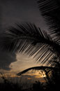 Dramatic Morning Sky