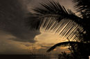 Dawn Drama