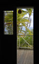 Sea & Palm View