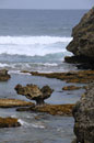 Rugged East Coast Portrait