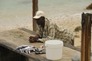 Bathsheba Fisherman