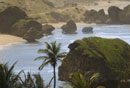 Beautiful Rugged Coast