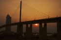 Sunset under the bridge