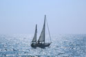 Boats in Abundance