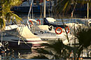  Boats in the Marina 2