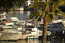  Boats in the Marina