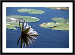 Botswana
