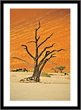 Namibia