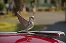 1950 Car Emblem