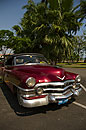 Angled View Red 1950 Convertible & Palms