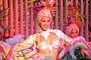 Cabaret smile