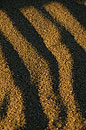 Sand Patterns