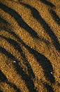 Sand Patterns 2