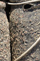 Lobster pots