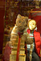 Teddy Xmas display
