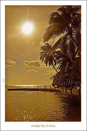 *Example* Order any Image 15