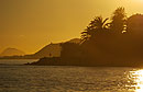 Golden Sunshine on Sea