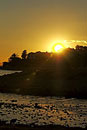Golden Suns Rays 