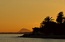 Golden Sunset