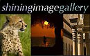 Shining Image Gallery-Stock Photography Travel Images 