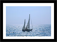 Boats in Abundance