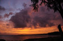 Magenta Sunset in Barbados