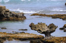 Rugged East Coast