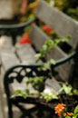 Andromeda Garden Bench