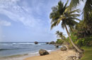 Bathsheba Beach