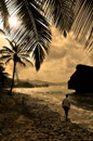 Rugged Coastline in Silhouette