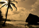 Huge Rock Bathsheba
