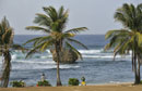Fishermen lined up on Beach
