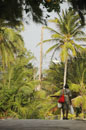 Long Way Home