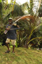 Sikay Cutting Palms