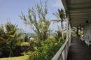 Overlooking the Garden