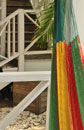 Colourful Hammocks