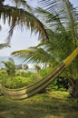 Hammock to Relax in