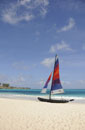 Paradise