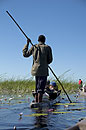 Mokoro in the Okavango