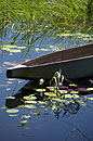 Moored Mokoro Canoe