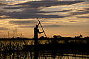 Mokoro Poler at Sunset