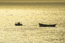 Day Cantal Sank