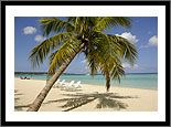 Jamaica