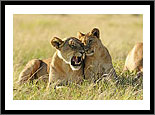 Masai Mara