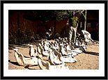 Save The Elephants