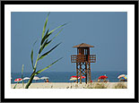 Tarifa 