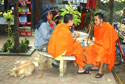 Monk chatting with gardener