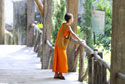 Novice monk at the zoo
